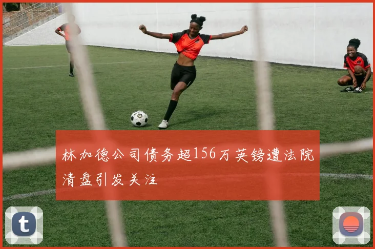 林加德公司债务超156万英镑遭法院清盘引发关注