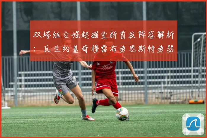双塔组合崛起掘金新首发阵容解析：瓦兰约基奇穆雷布劳恩斯特劳瑟携手出击