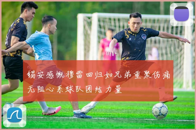 锡安感慨穆雷回归如兄弟重聚伤痛无阻心系球队团结力量